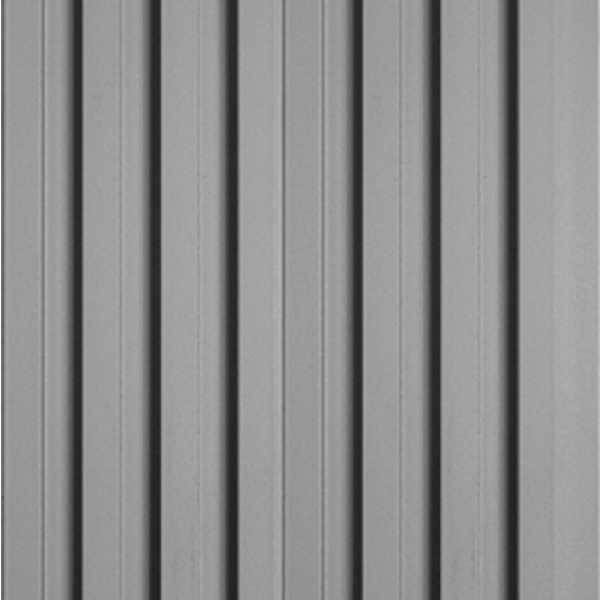 ลอนใหญ่เทา